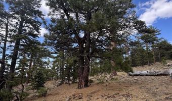 636 Mountain Center 35-0002, Mountain Center, CA 92561