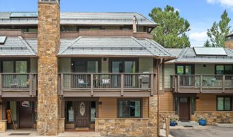 650 S Monarch St Unit 11, Aspen, CO 81611