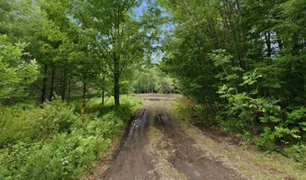 Dane Road lot 29, Center Harbor, NH 03226
