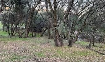 393 Blair Mine, Angels Camp, CA 95222