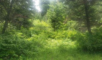 Arlee Pines lot 20, Arlee, MT 59821