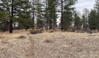 0 Widgeon, Bonanza, OR 97623
