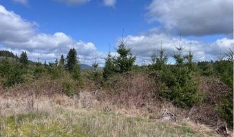 Northrup Creek Rd, Birkenfeld, OR 97016