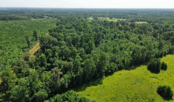 160 LR 717, Ashdown, AR 71822