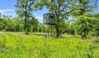 16060 US 278, Beaverton, AL 35544