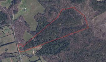 3170 Highway 20, Abbeville, SC 29638