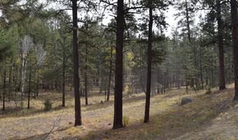 00 Forest Service Rd 450, Grants, NM 87020
