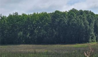 Parcel 1 Hwy 87, Backus, MN 56435