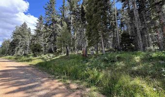 Lot 23 Elk Ridge Road, Angel Fire, NM 97710