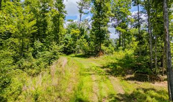 2291 Blankey Branch Rd, Beattyville, KY 41311