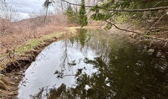 2636 Murphy Hill Rd, Andes, NY 13731