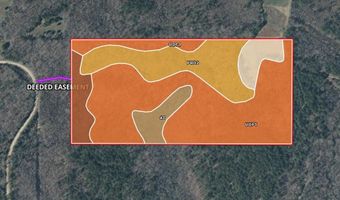 Reeves Road, Ashland, MS 38603
