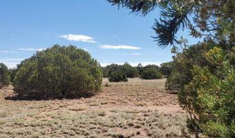 17 County Road 8077, Concho, AZ 85924