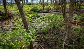 006 County Road 14, Aldrich, MO 65601