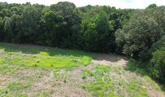 Lower Big Sandy Road, Big Sandy, TN 38221