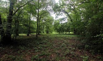 000 AVE 5 SW St, Atkins, AR 72823