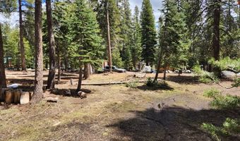 99 Monty Wolf Rd, Bear Valley, CA 95223