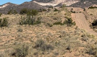 DUANE Street, Abiquiu, NM 87510