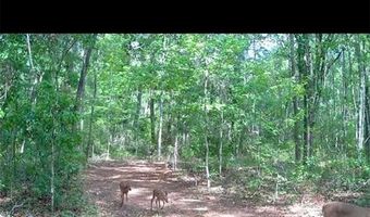 4814 NW 244 Ave, Alachua, FL 32615