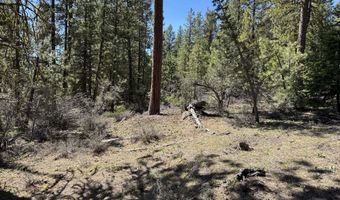 Horned Owl Way 385461, Bonanza, OR 97623