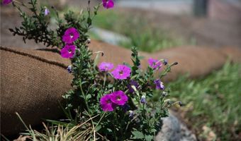 3371 Fair Oaks Ave, Altadena, CA 91001