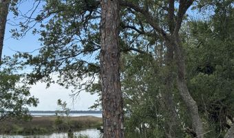 1272 Angus Morrison Rd, Alligator Point, FL 32346