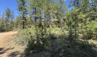 0 Grizzy Ln 9, Bonanza, OR 97623