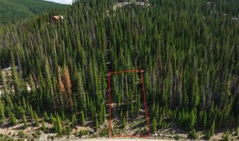275 CR 805, Breckenridge, CO 80424