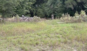 3337 GOLDEN GEM Rd, Apopka, FL 32712