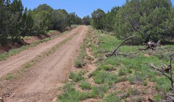 Birdwing Lane, Clay Springs, AZ 85923