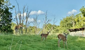 Lot 23 Hogback Rd, Albany, KY 42602