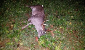 Reeves Road, Ashland, MS 38603