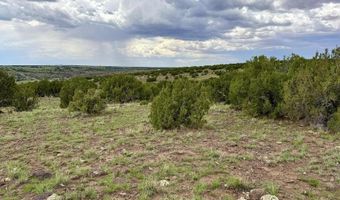83 County Rd. 8128, Concho, AZ 85924