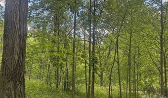 V/L Wolf Crossing, Bakersville, NC 28705