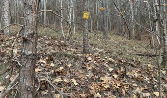 Highway 105, Baldwin, GA 30511