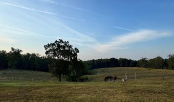 90 Mitchell Rd, Batesville, AR 72501