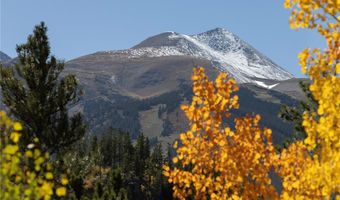1139 BOREAS PASS Rd, Breckenridge, CO 80424