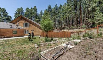 507 Deer Ridge Dr, Bayfield, CO 81122