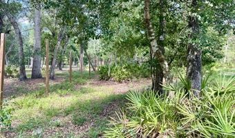 1109 NW 78th Ave, Bell, FL 32619