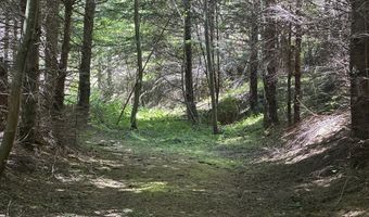 Glenn Creek Rd 300, Allegany, OR 97407