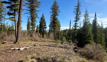 Urban Lane lot 5, Cascade, ID 83611