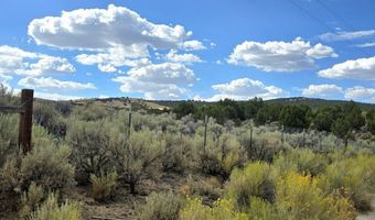 816 Hamilton Stage Rd, Elko, NV 89801