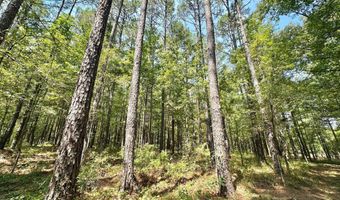 1 Champion Hill Rd, Bolton, MS 39041