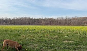 PAYNES POND RD, Arvonia, VA 23004