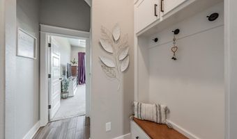 115 Buddy Ct, Millsap, TX 76066