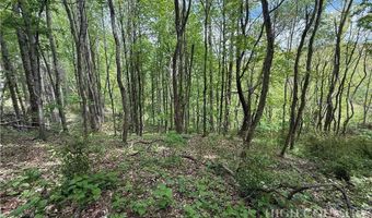 Spice Creek Road, Banner Elk, NC 28604