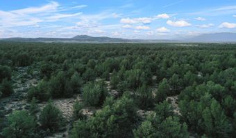 S Carson Road 39 Acres, Carson, NM 87517