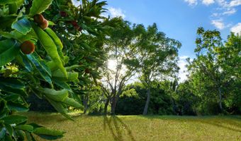 6565- C KOOLAU Rd, Anahola, HI 96746