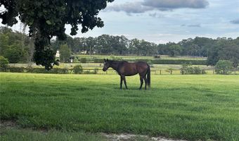 SW 107TH STREET, Archer, FL 32618