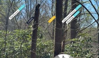 2438 Kellersville Rd, Banner Elk, NC 28604